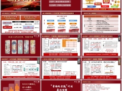 泰康泰盈人生AB款5大优势主推案例模型案例讲解产品训练33页.pptx 