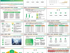 瑞泰鸿利传世致享版分红型开发背景产品介绍案例演示规则20页.pptx 