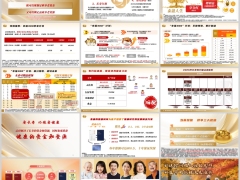 泰康泰盈人生庆典版四大亮点幸福300享老计划解析三大权益15页.pptx 