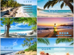 夏天蓝天海滩椰树早会流程模板10页.pptx 