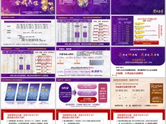 阳光紫荆壹号分红型产品要素产品案例演示销售逻辑22页.pptx 