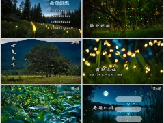 夏天黑夜萤火虫早会流程模板10页.pptx 