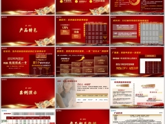 太平国盛一号尊享版分红型产品特色案例演示相关数据19页.pptx 