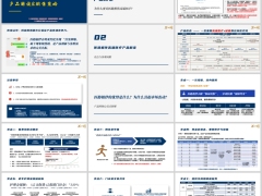 复星联合医路相伴产品背景形态亮点优势解读销售策略含备注22页.pptx 