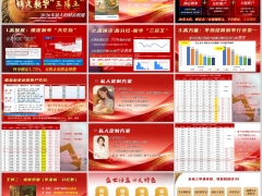 新华人寿盛世荣耀臻享版分红型盛世恒盈产品特点案例简介19页.pptx 