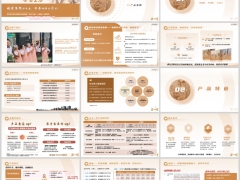 复星联合福星高照安泰版2.0产品背景特色案例销售逻辑26页.pptx 