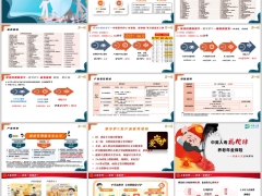 中英人寿爱守护C款产品特色责任概述福相伴产品公司简介22页.pptx 