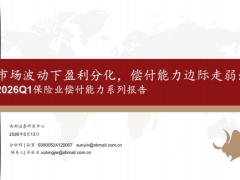 2026Q1保险业偿付能力系列报告市场波动下盈利分化偿付能力边际走弱26页.pdf 