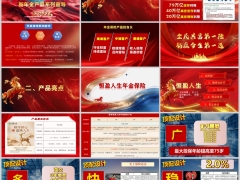 中国人寿恒盈人生产品背景基本形态亮点案例展示27页.pptx 
