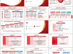 百年爱心保开发背景产品形态与亮点投保案例介绍规则33页.pptx 