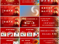 2026老友季老客户四大专属理财产说会主讲太平国盛一号尊享版44页.pptx 