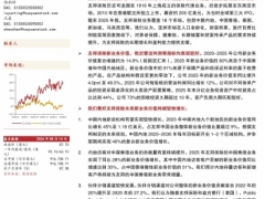友邦保险新业务价值增长动力强劲资本管理能力突出的亚太区寿险标杆14页.pdf 