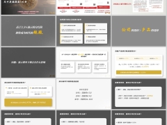 中英福满盈C款偿付能力公司介绍分红险演示利率调整含备注29页.pptx 