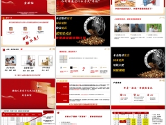 渤海前行无忧逸享版产品特点责任案例演示核心优势规则24页.pptx 