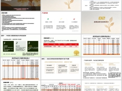 民生润泽恒赢产品形态特色核心优势应用场景案例演示25页.pptx 