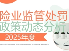 2025年全年度保险业监管处罚及政策动态分析25页.pdf 