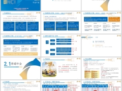 新华年金在售产品体系介绍普通养老年金产品优势销售逻辑31页.pptx 