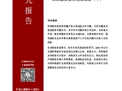 工银亚洲香港保险市场与保费融资业务发展观察下17页.pdf 