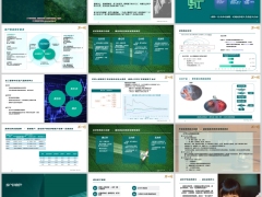 再保角度看杠杆寿核心价值客户差异化需求和潜在客户20页.pptx 