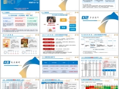 新华宏安世家安悦版背景产品特色亮点解析销售逻辑25页.pptx 