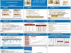 新华盛世荣耀盈家版分红型升级点产品特色信息案例适配客群14页.pptx 