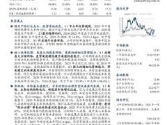 中国财险财险行业领头羊迈向高质量发展新阶段27页.pdf 