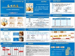 新华盛世稳盈分红型升级点产品特色概览适配客群案例演示13页.pptx 