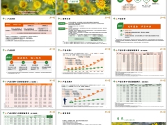 中英福满盈C款分红型产品形态责任优势示例规则七月版20页.pptx 