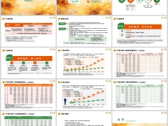 中英福满盈C款卓越版分红型产品形态责任优势示例规则20页.pptx 