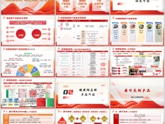中国人寿健康险产品体系主销个养形态专属支持案例演示52页.pptx 
