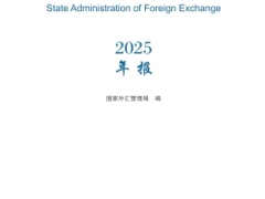 2025年度国家外汇管理局年报128页.pdf 