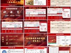 国寿鸿泽人生分红型产品基本形态优点案例演示鑫元宝简介15页.pptx 