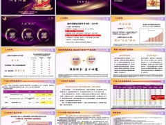 新华盛世荣耀盈家版三大优化产品组合特色介绍案例演示16页.pptx 
