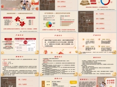 新华聚福享尊悦版产品理念特色定位案例演示运营规则24页.pptx 