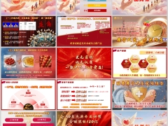 国寿康宁人生终身寿险分红型产品背景条款亮点销售逻辑50页.pptx 