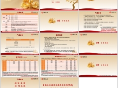 富德生命福星金典终身寿险A款产品介绍条款案例特色14页.pptx 