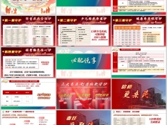 中国人寿康宁乐享四重守护康宁悦享三大亮点销售策略31页.pptx 