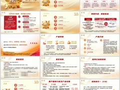 新华宏禧乐安悦版分红型产品理念特色案例演示运营规则24页.pptx 