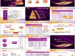 新华尊佑金悦庆典版分红型附加长期护理产品责任概览案例演示22页.pptx 