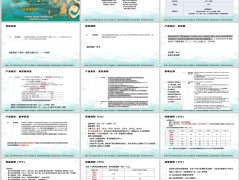 阳光传世尊享C款分红型产品优势基础知识投保案例26页.pptx 