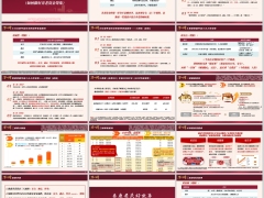 泰康泰盈庆典30幸福300保险产品计划介绍投保案例享老故事24页.pptx 