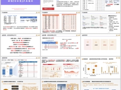 太保投资介绍蛮好的人生2026产品背景形态规则亮点案例49页.pptx 