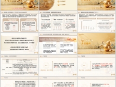 瑞众传世宝开发背景产品形态特色解析投保案例规则24页.pptx 