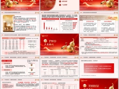 瑞众传世宝终身寿险分红型开发背景产品解析投保案例规则21页.pptx 