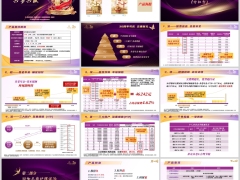 新华金悦优选庆典版分红型产品责任概览附加长期护理特色案例22页.pptx 