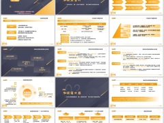 变额终身寿险市场变局存量客户加保价值窗口期沟通逻辑25页.pptx 