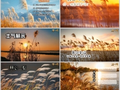 秋高气爽芦苇秋天早会流程PPT模板10页.pptx 