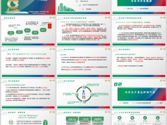 安全生产责任保险背景政策解读国寿安责险介绍含备注43页.pptx 