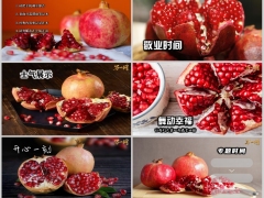 红色石榴秋天早会流程PPT模板10页.pptx 