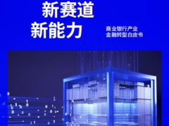 新格局新赛道新能力商业银行产业金融白皮书38页.pdf 